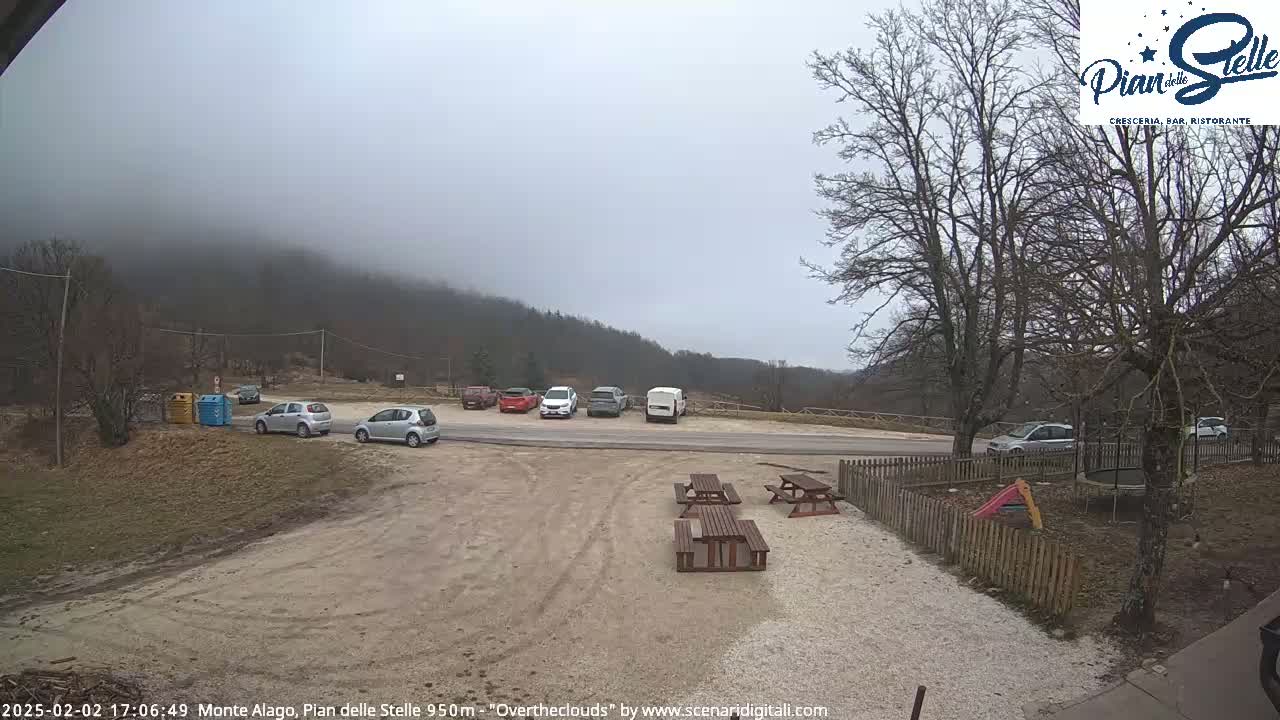 Several cars are parked in a gravel lot near a wooded hillside under an overcast sky.