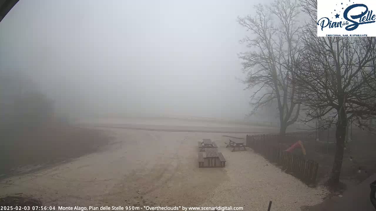 A foggy outdoor scene shows several empty picnic tables in a gravel area near bare trees and a short wooden fence.