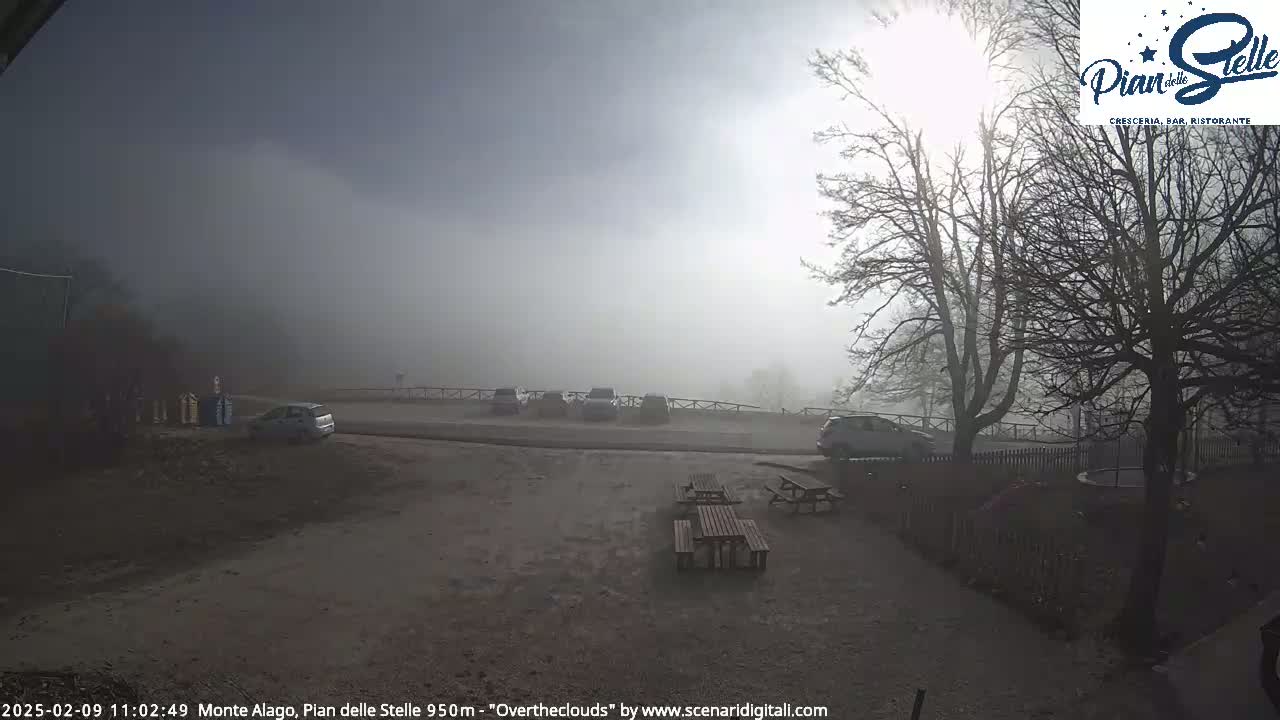 A foggy parking lot with several cars and picnic tables is visible near bare trees, under a partly sunny sky.