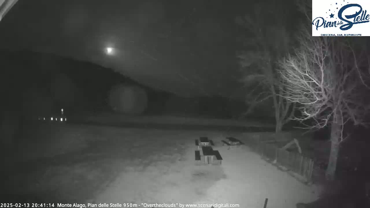 A nighttime outdoor scene shows several picnic tables in a clearing under an overcast sky, with bare trees and a dimly lit area in the background.