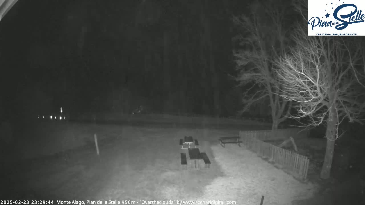 A snow-covered area at night with picnic tables and bare trees under an overcast sky.