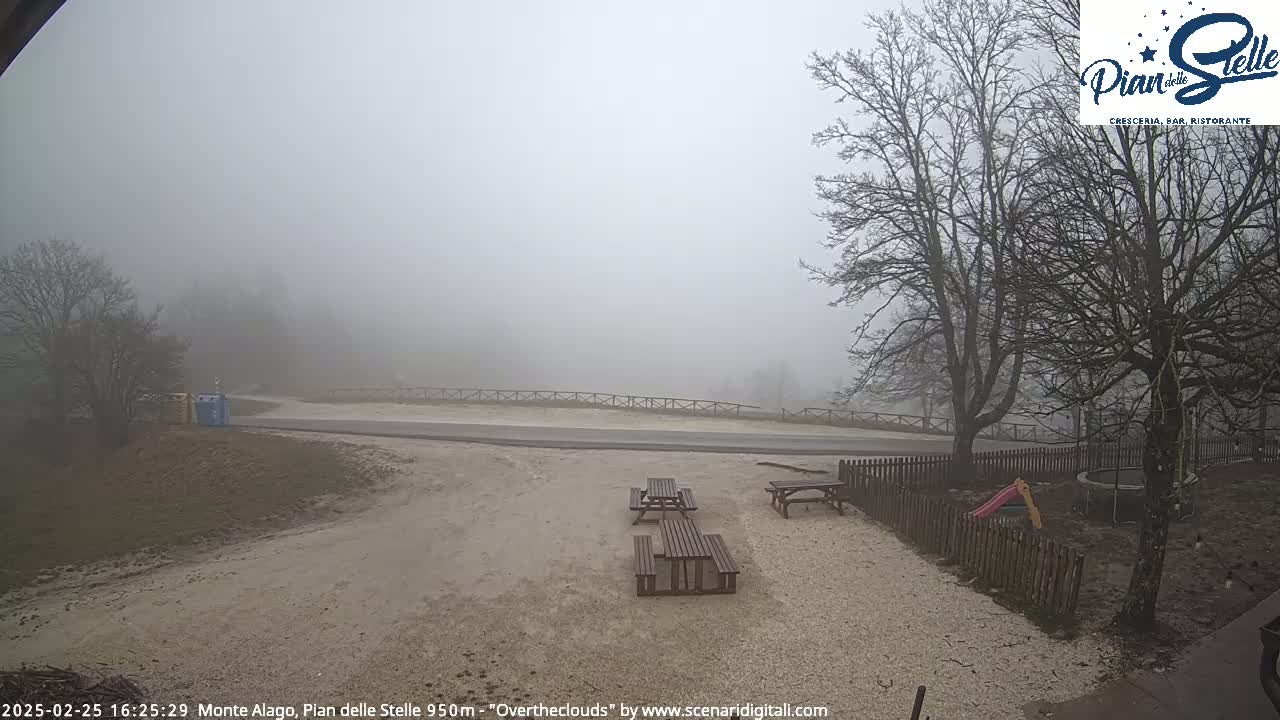 A foggy, outdoor scene shows a road, picnic tables, bare trees, and a small playground area.