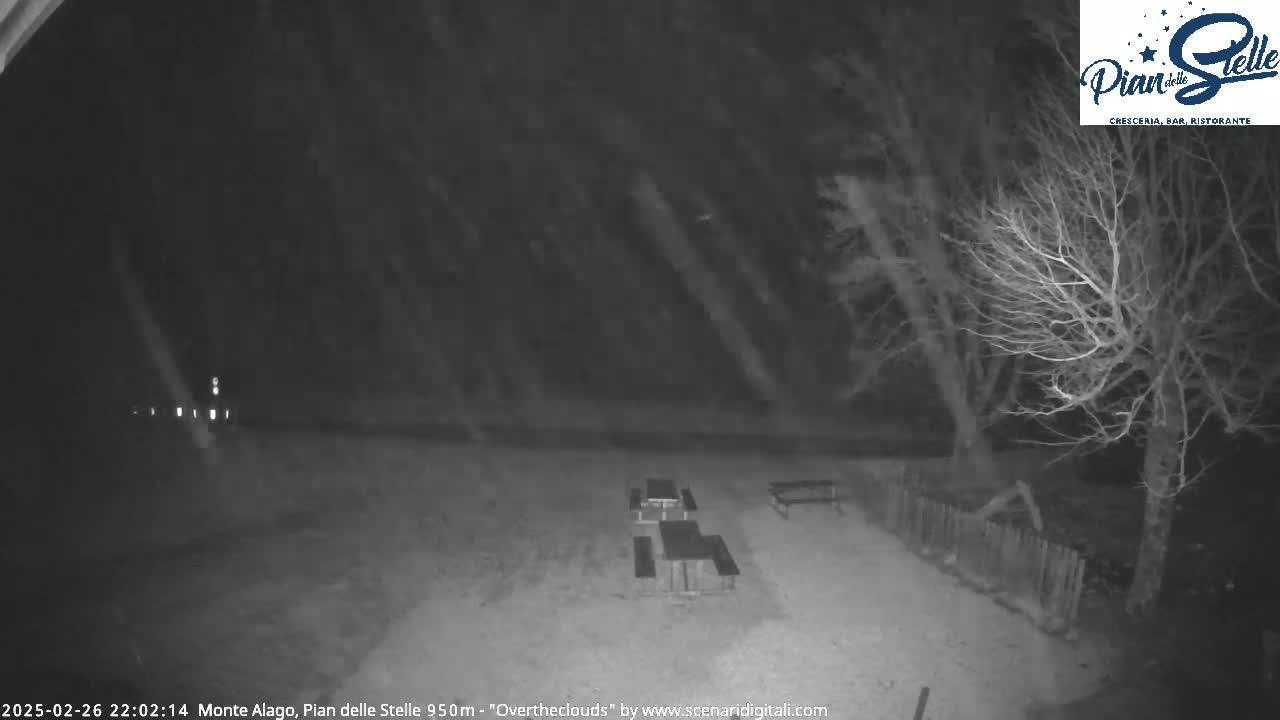 A nighttime, snowy scene shows several empty picnic tables under bare trees.