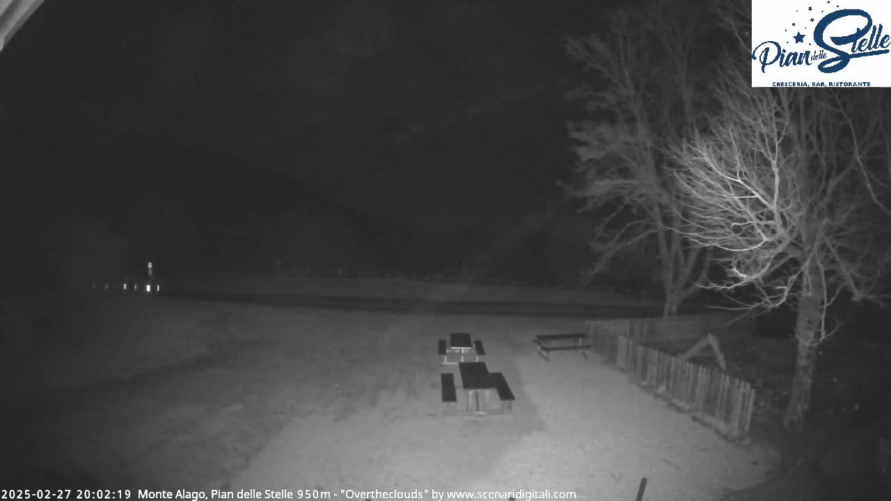 At night under an overcast sky, several empty picnic tables sit in a sparsely lit outdoor area surrounded by bare trees and a wooden fence.