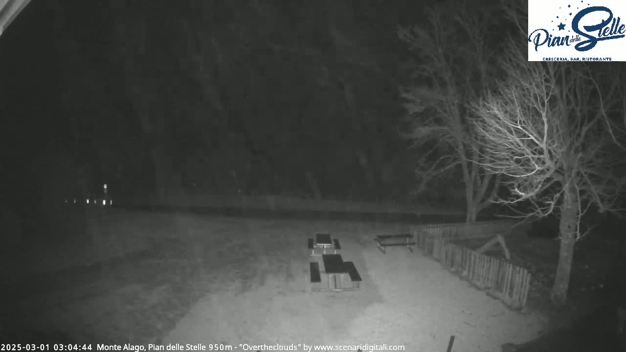 A nighttime, overcast view of a sparsely lit area with several picnic tables and bare trees.
