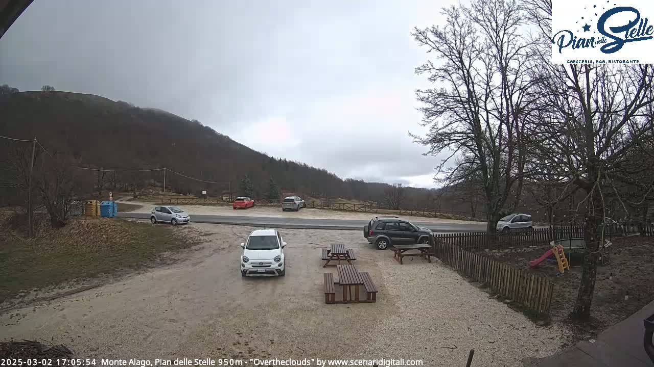 A gravel parking lot with several cars, picnic tables, and bare trees is situated below an overcast sky and a hill covered in dark green trees.