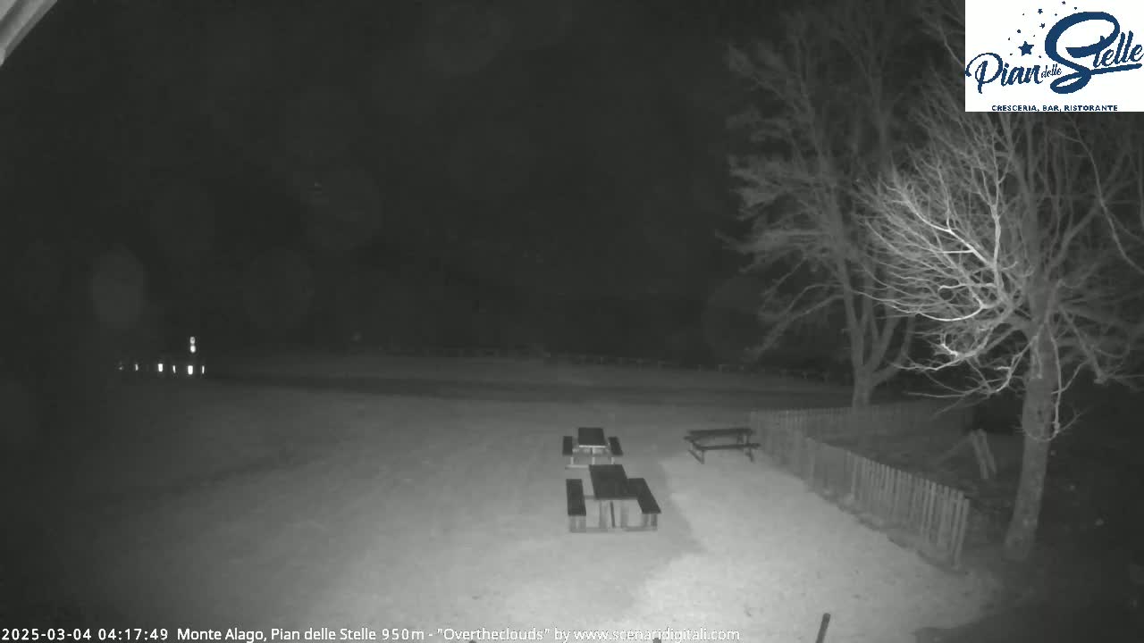 A nighttime, overcast view of an empty outdoor area with several picnic tables and bare trees under low-light conditions.