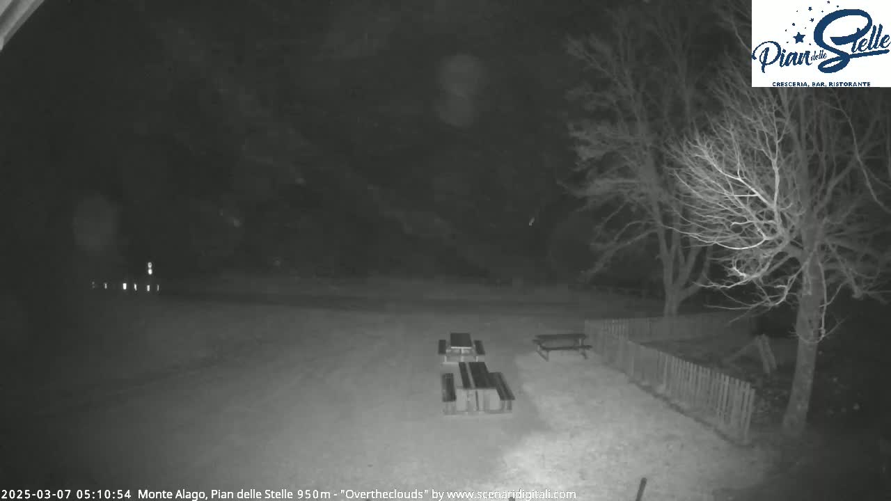 A nighttime, overcast view of an empty outdoor area with several picnic tables and bare trees.