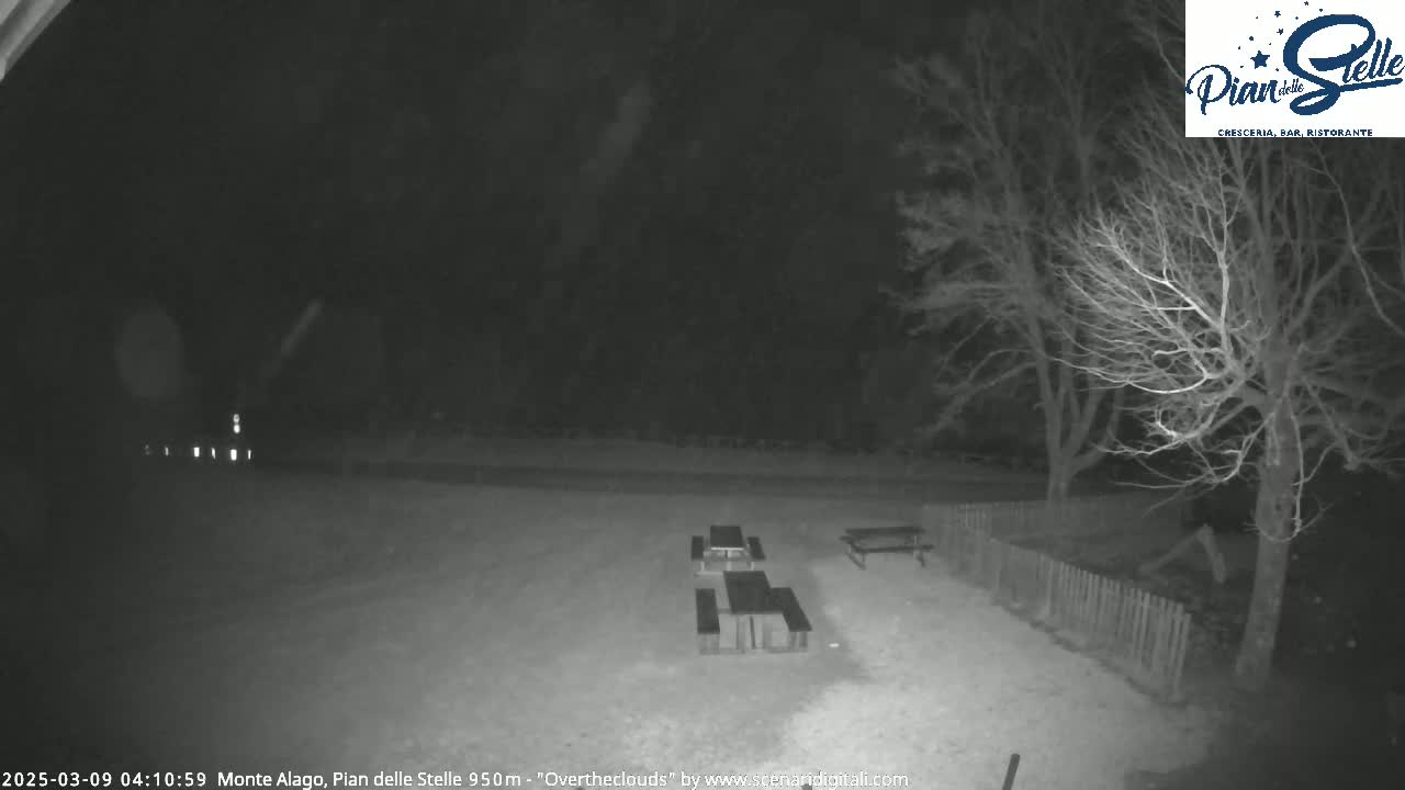 A nighttime, snow-covered scene shows several empty picnic tables near bare trees and a fence under an overcast sky.