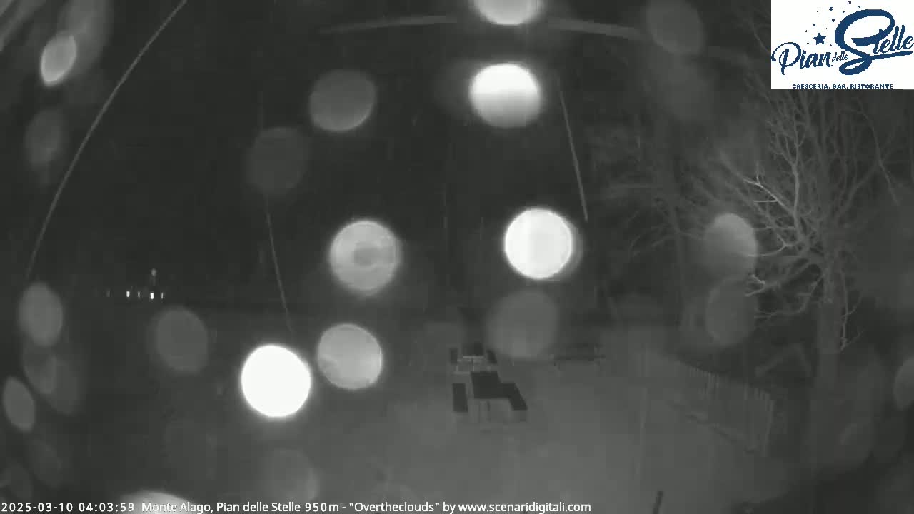 A nighttime, snowy scene shows blurred lights and a dark, leafless tree under a lightly falling snow.