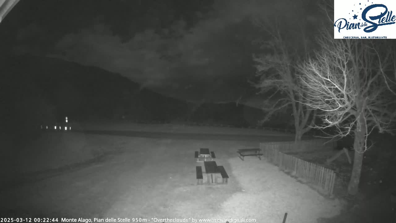 A nighttime, overcast scene shows several empty picnic tables in a sparsely lit outdoor area near bare trees and a fence.