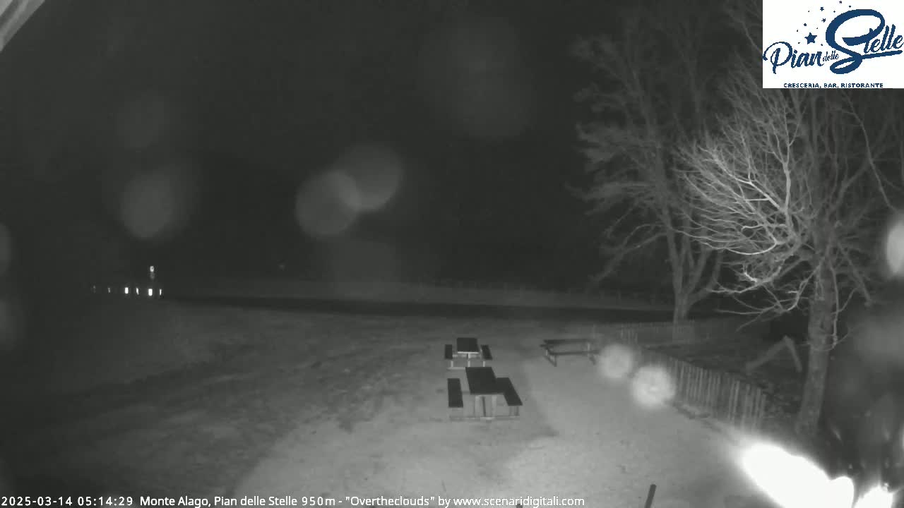 A nighttime, overcast scene shows several empty picnic tables in a sparsely wooded area.