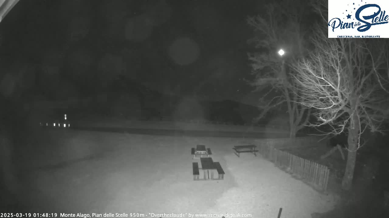 A nighttime, overcast scene shows several empty picnic tables in a snow-covered area, surrounded by bare trees.