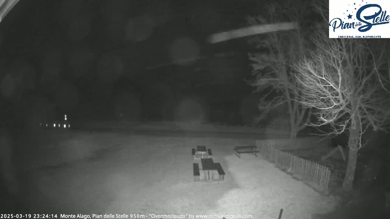 A nighttime, snow-covered outdoor scene shows several picnic tables beneath bare trees, with an overcast sky.