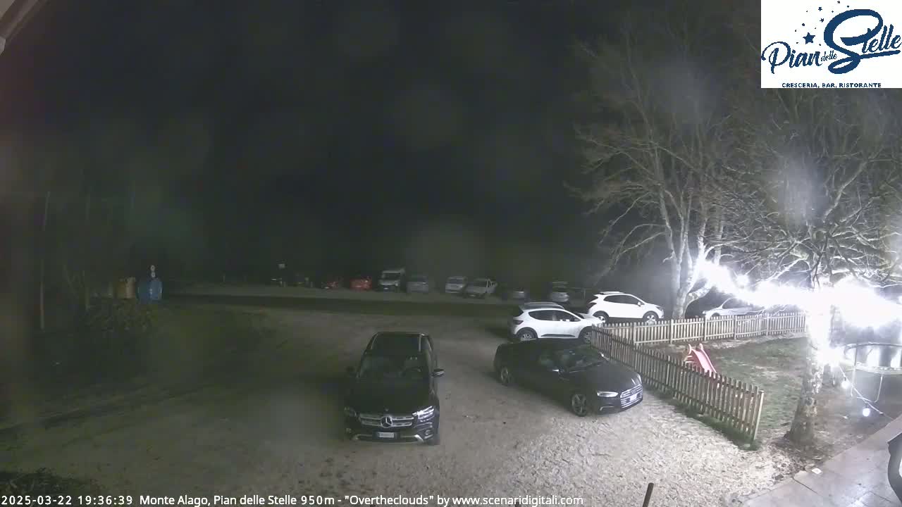 A nighttime parking lot with several cars, a small playground, and bare trees illuminated by string lights.