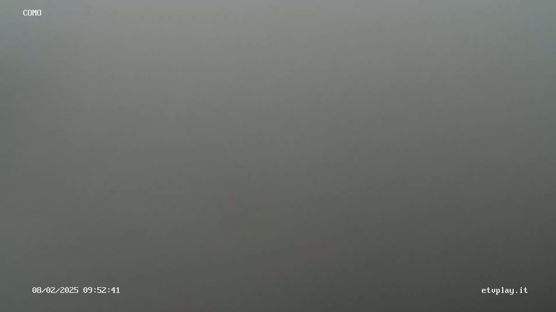 A uniformly gray, foggy scene is visible.