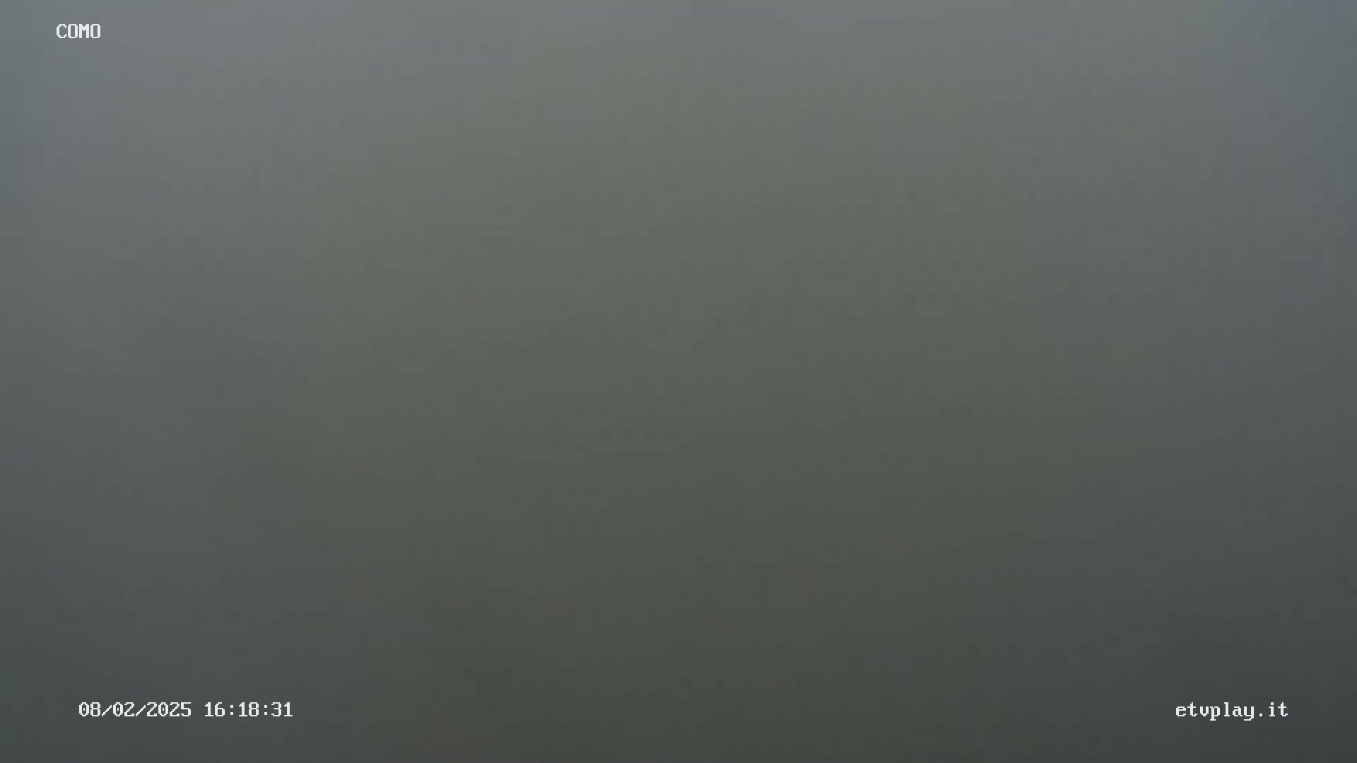 A uniformly gray, foggy scene is visible.