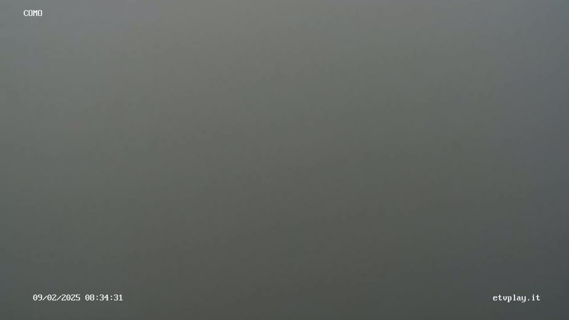 A uniformly gray, foggy scene is visible.
