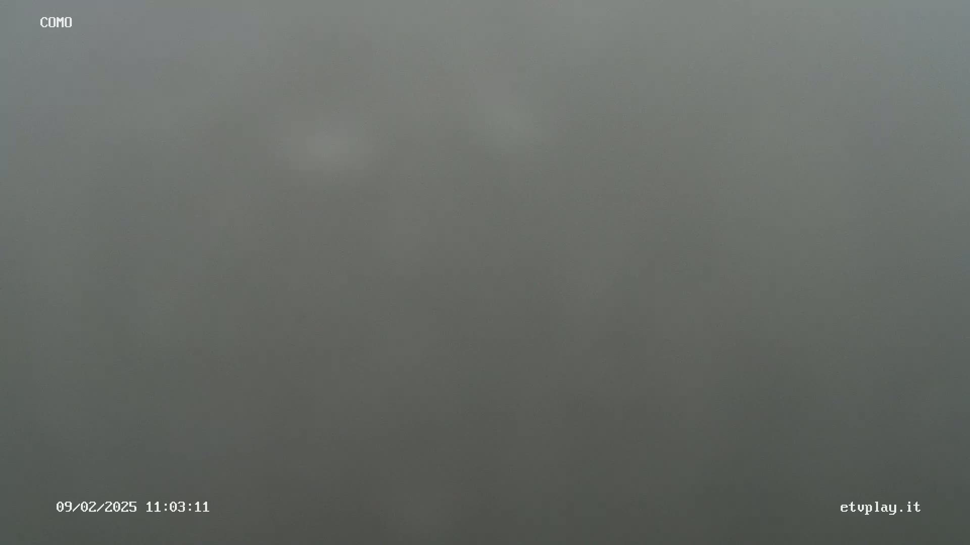 A uniformly grey, foggy scene is visible.