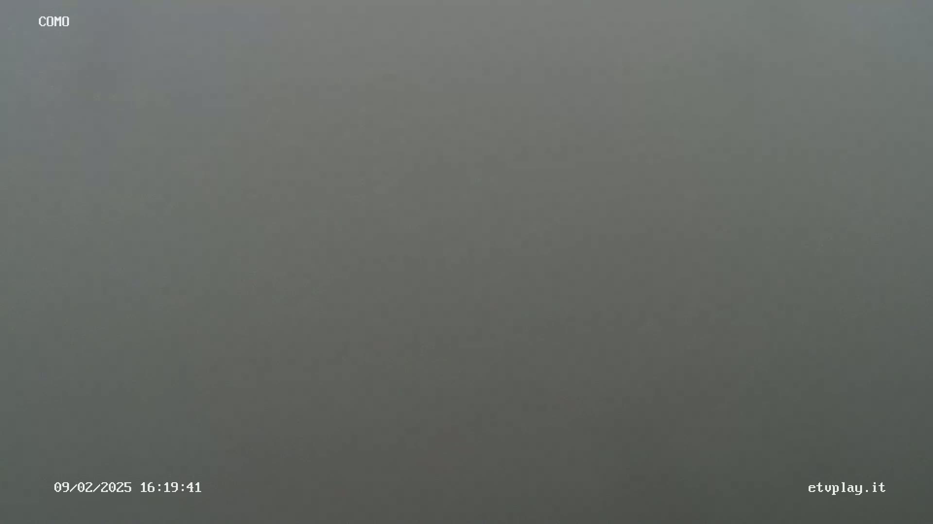 A uniformly grey, foggy scene is visible.