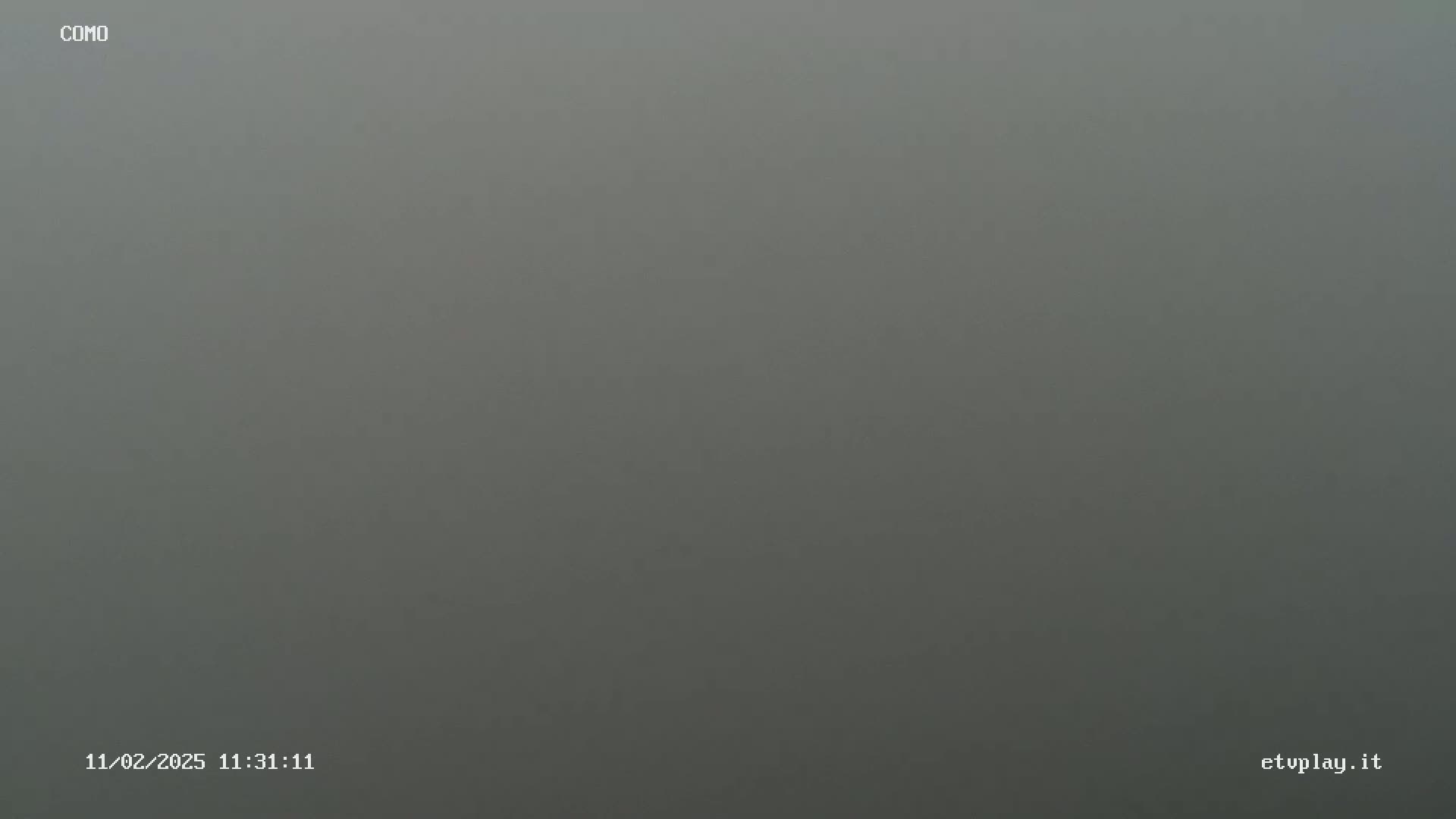 A uniformly gray, foggy scene is visible.