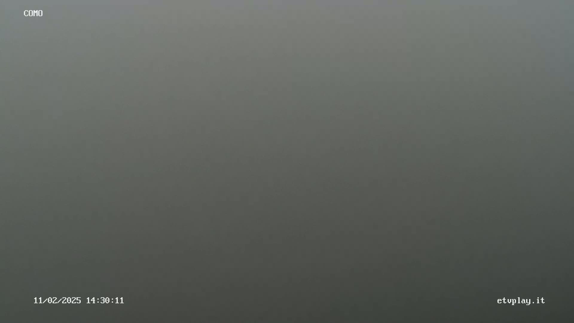 A uniformly grey, foggy scene is visible.