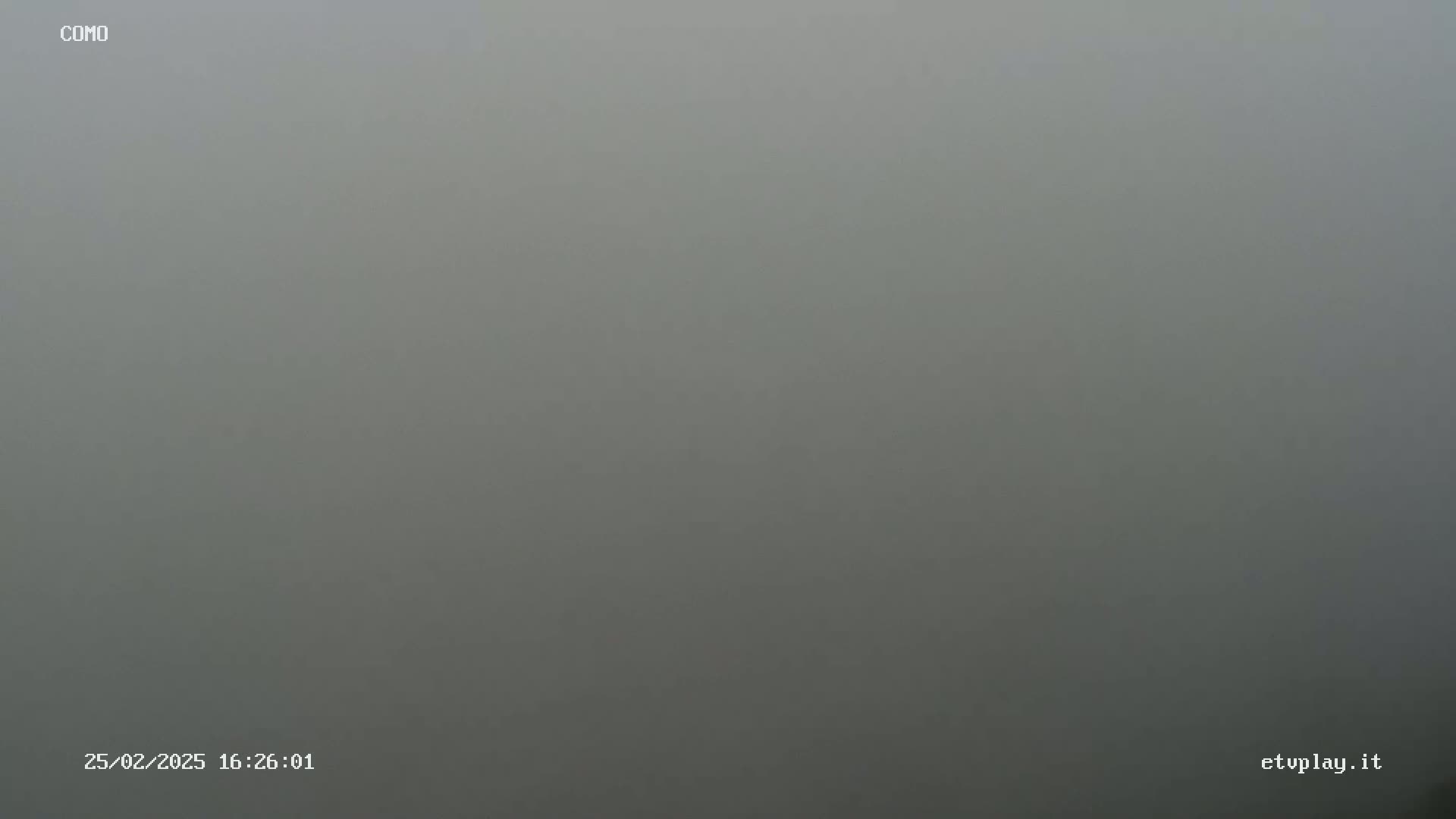 A uniformly gray, foggy scene is visible.