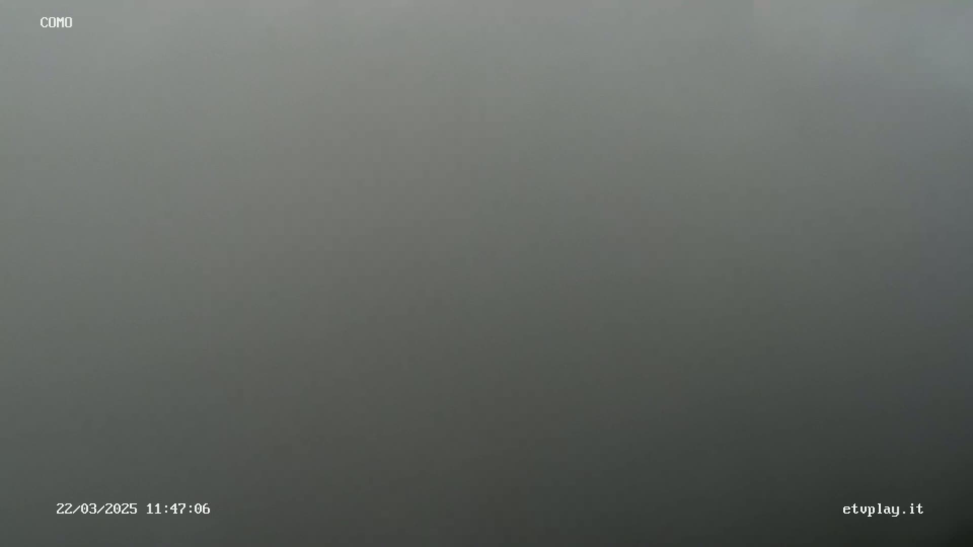 A uniformly gray, foggy scene is visible.