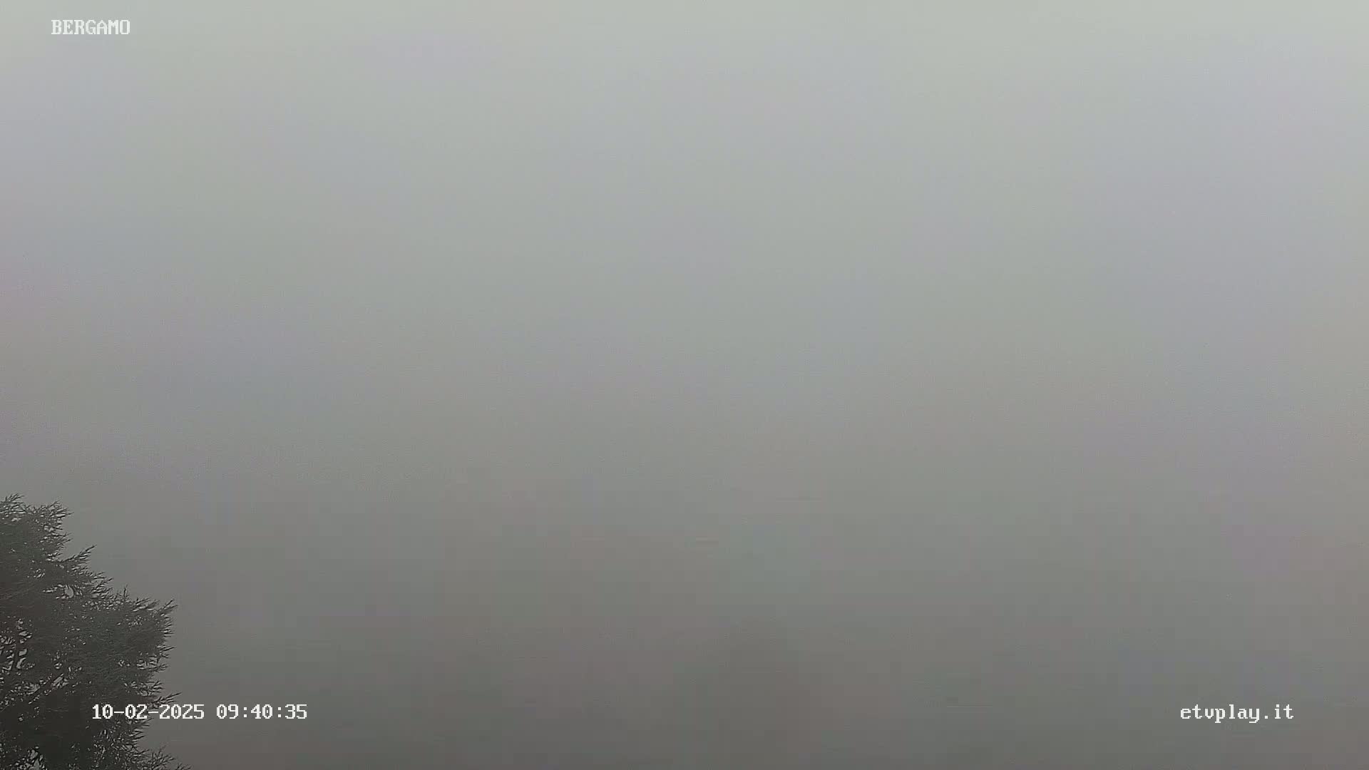 A thick fog obscures the view, with only a bit of tree visible in the bottom left corner.