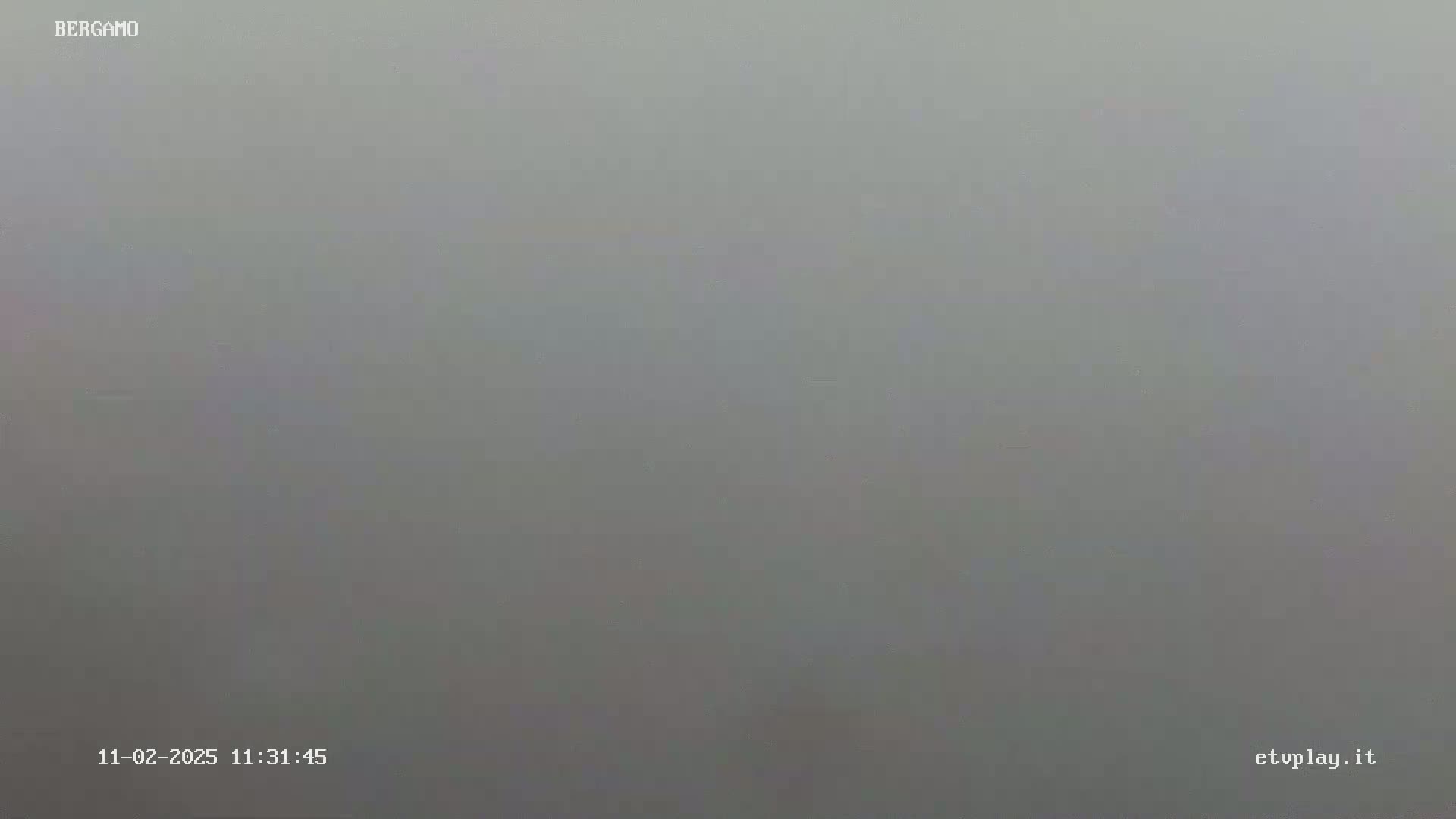A uniformly gray, foggy scene is visible.