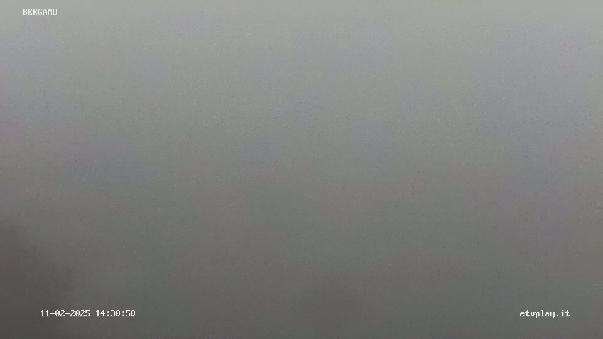 A uniformly gray, foggy scene is visible.
