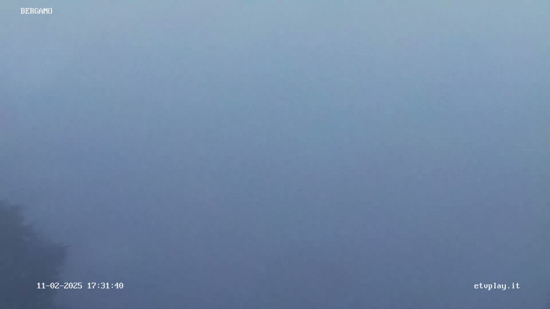 A thick fog obscures the view, with only a hint of dark foliage visible at the bottom left.