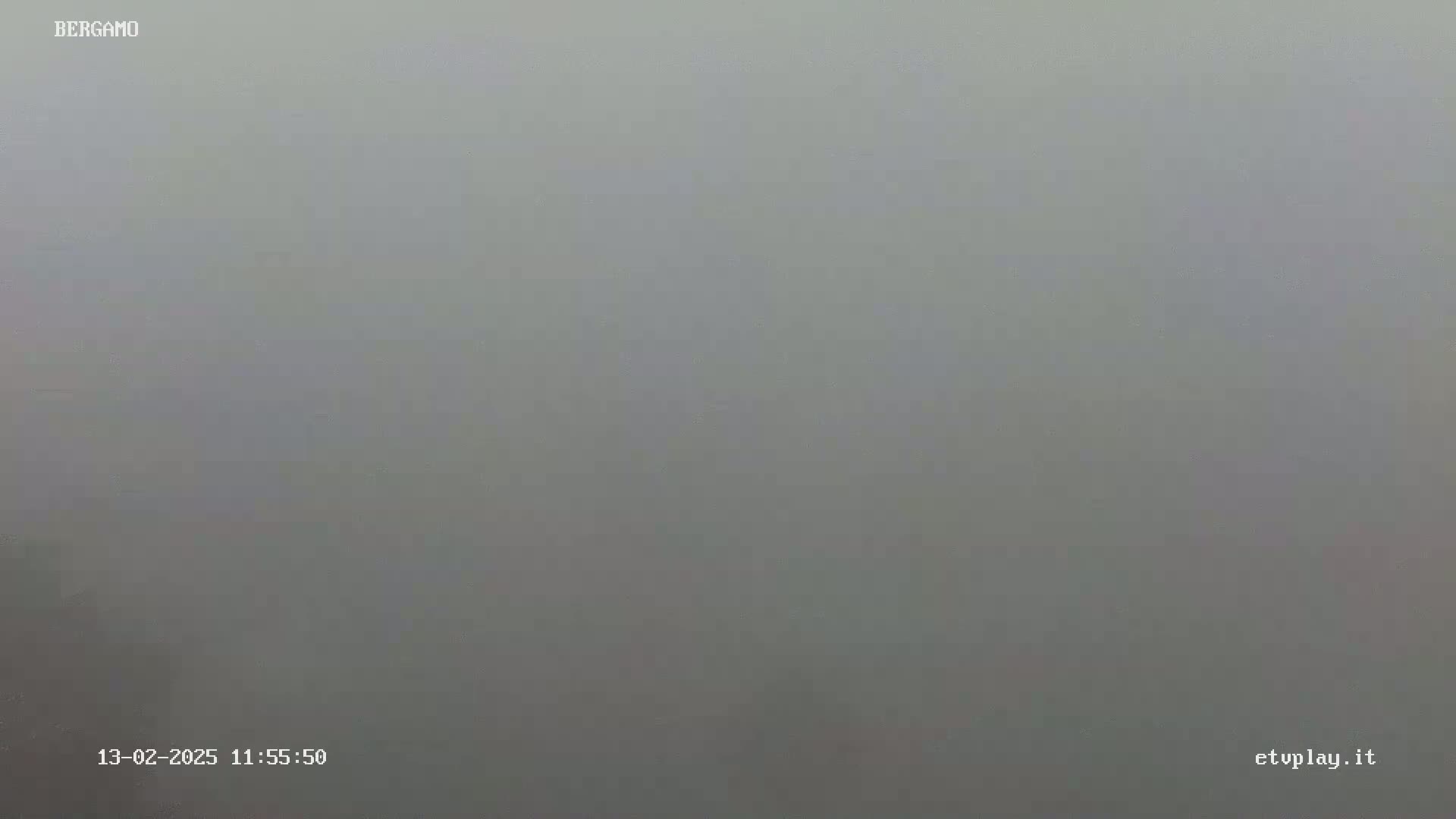 A uniformly gray, foggy scene is visible.