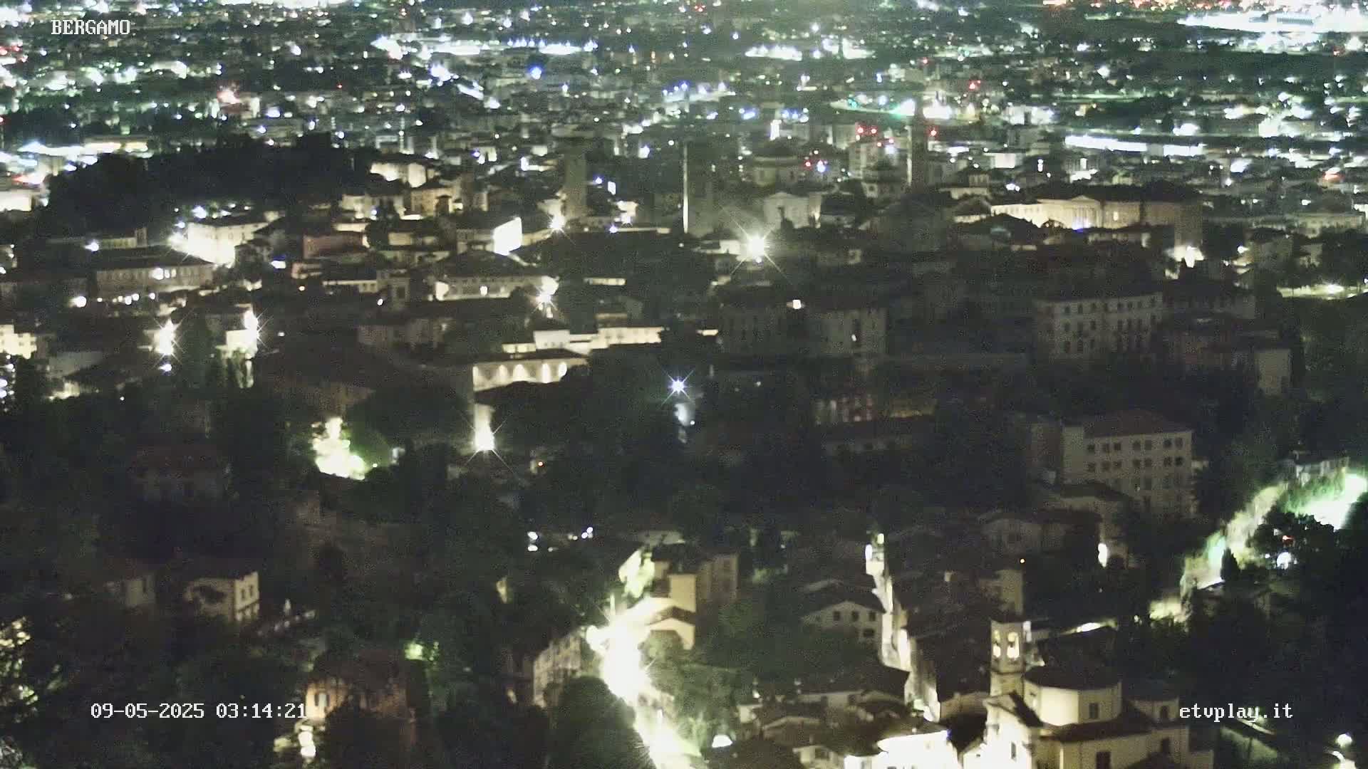 A nighttime, high-angle view of a city illuminated by streetlights, nestled among dark green trees.