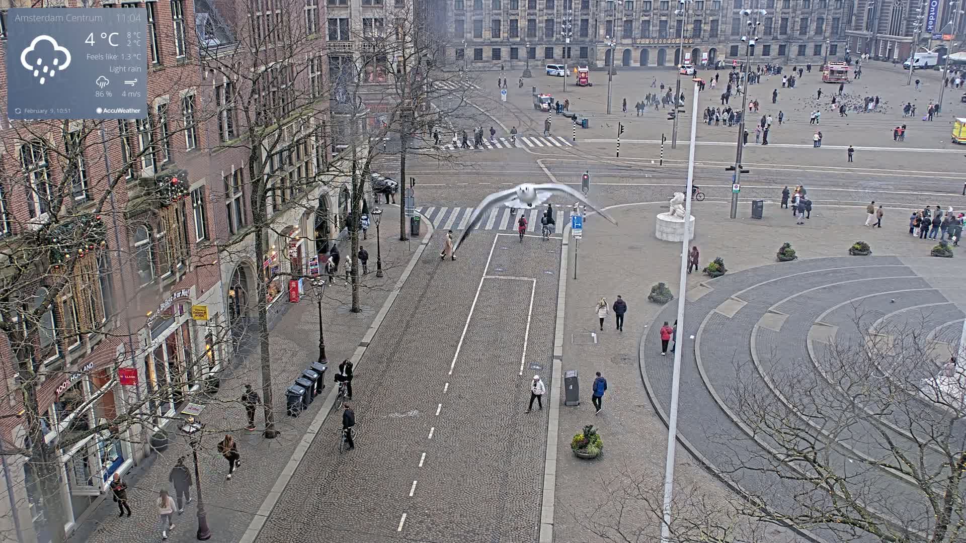 A bird flies over a cobblestone city street with pedestrians and buildings on a lightly rainy day.