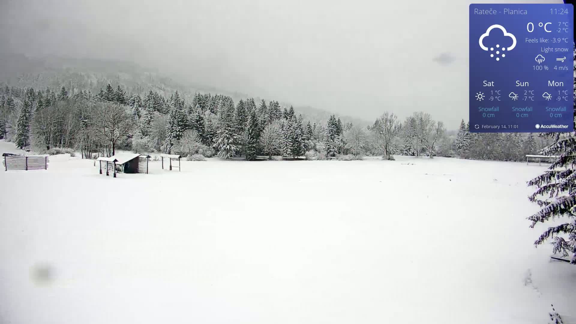 A snow-covered field with a small shed and snow-covered trees in the background under light snow.