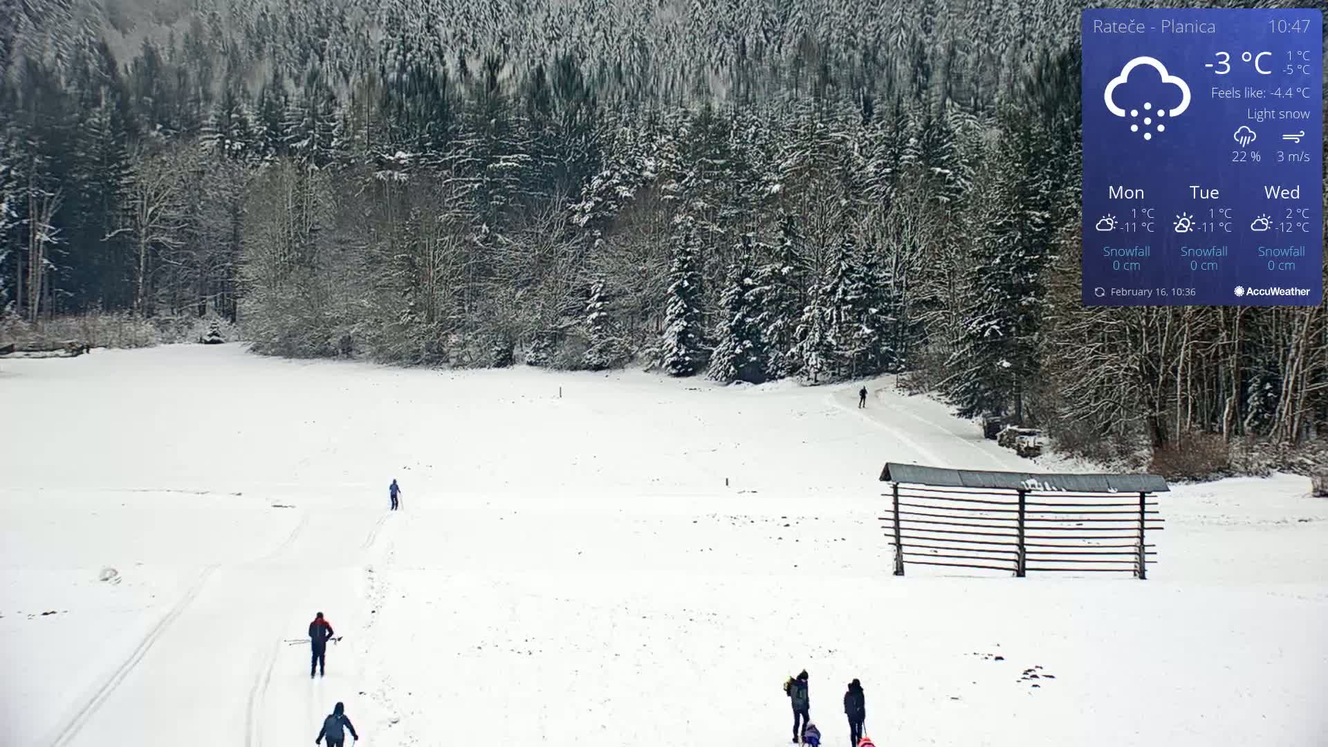 A snow-covered field with several people cross-country skiing and sledding, bordered by a snow-dusted forest under light snow.