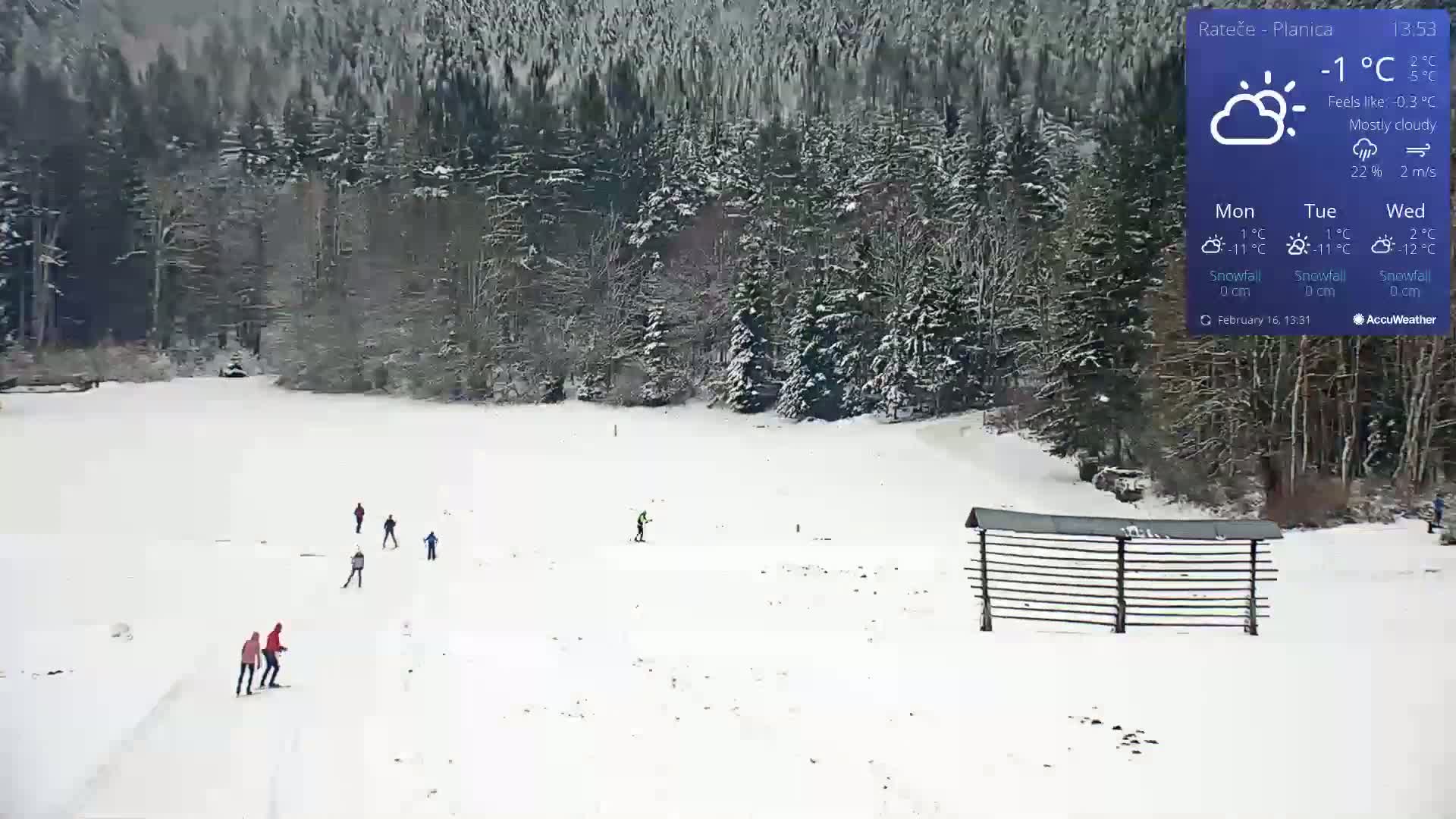 Several cross-country skiers are on a snow-covered field, surrounded by a snow-covered forest under mostly cloudy skies.