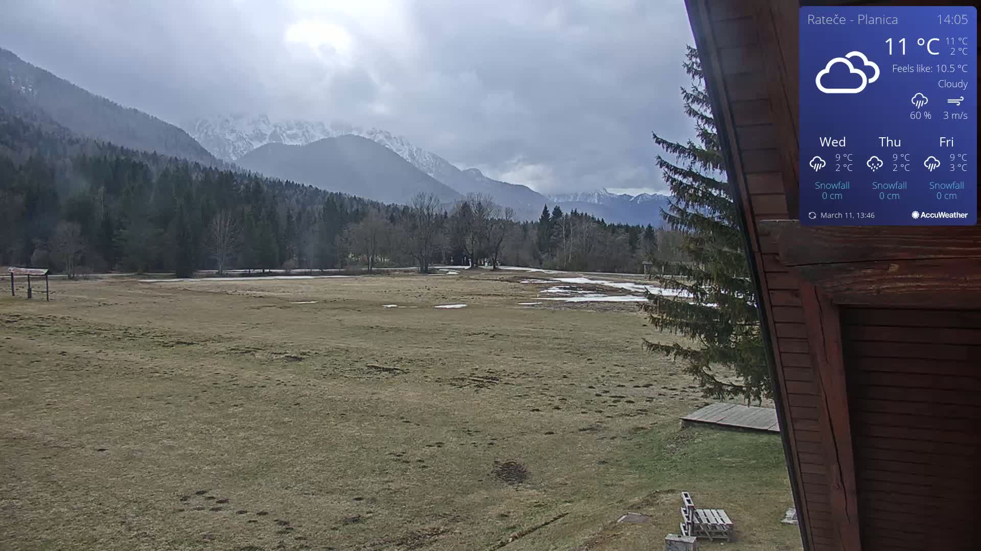 A cloudy, outdoor view shows a flat, grassy field with patches of snow and ice, overlooked by a dark green forest and snow-capped mountains in the background.