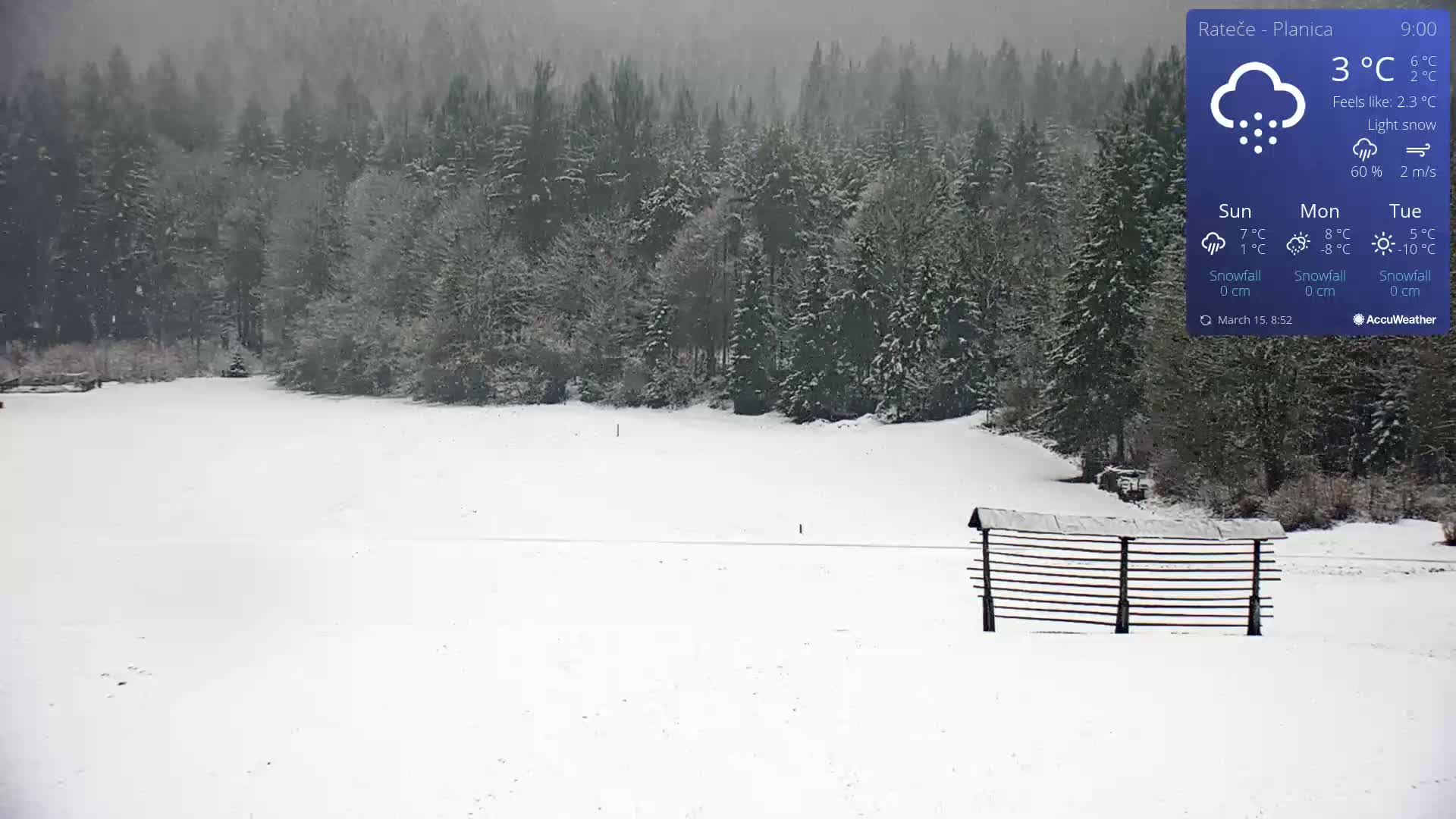 A snow-covered field with a wooden structure is seen under light snow falling in a forest setting.