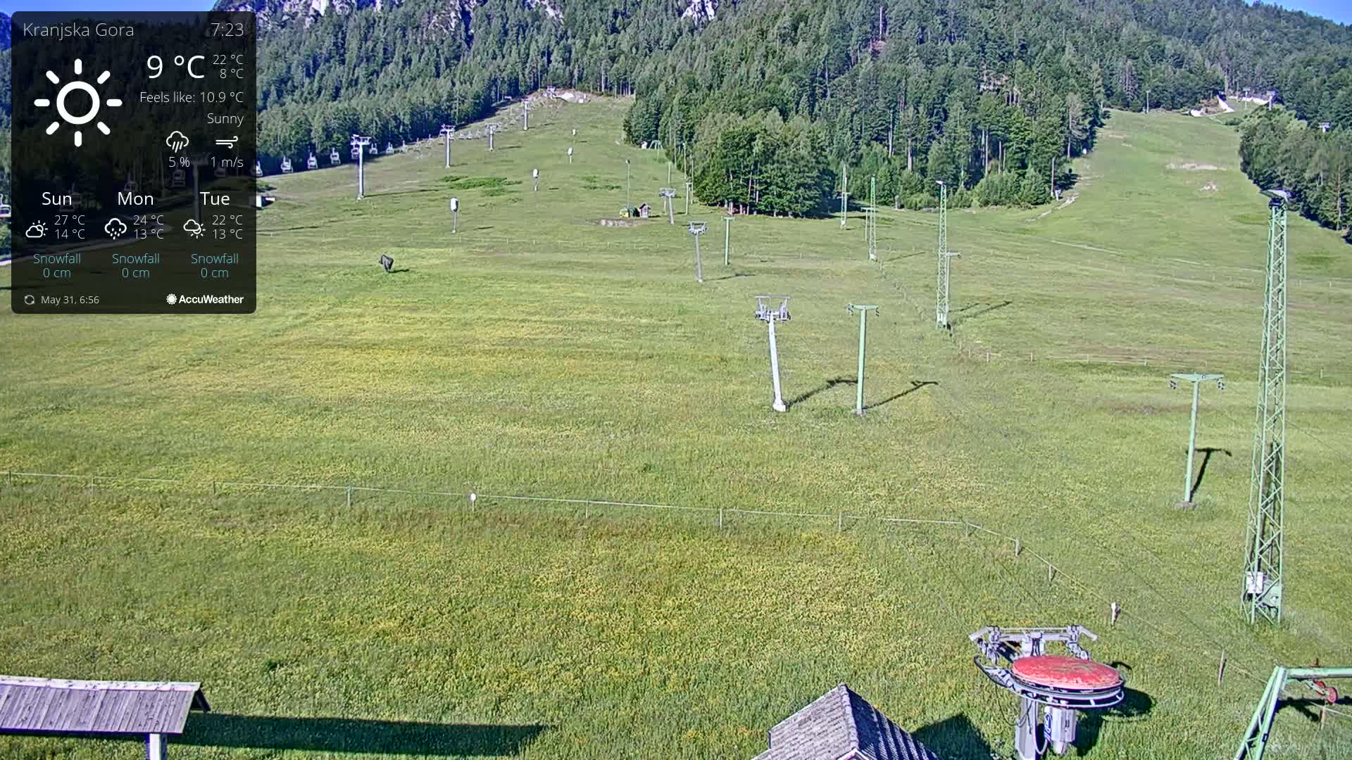 A sunny, grassy ski slope with several ski lifts and a mountain in the background.