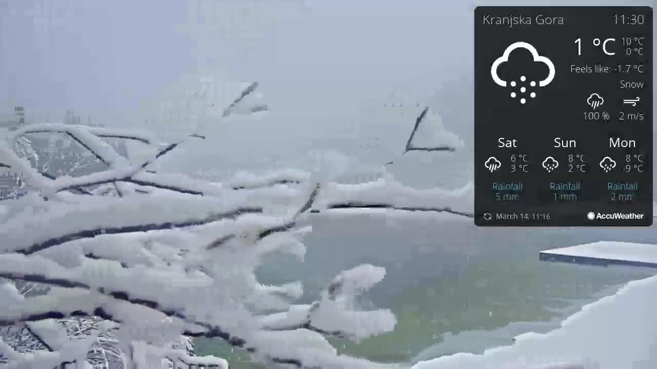Snow-covered branches are visible through a snow-covered window during a snowstorm.