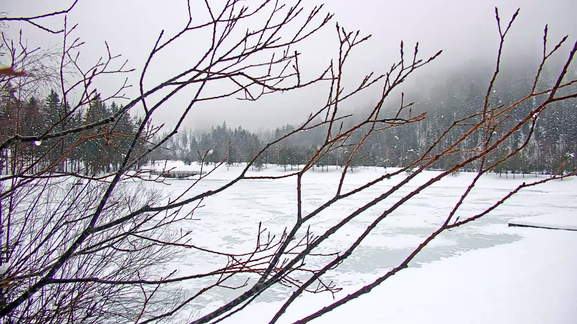 Kranjska Gora, Jezero Jasna Lake Live Cam - Jesenice, Gorenjska (Upper Carniola), Slovenia
