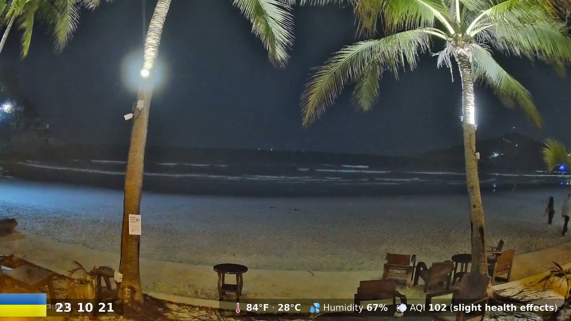 A nighttime beach scene shows gently lapping waves under a dark sky, illuminated by lights on palm trees and near the shore, with some outdoor furniture present.