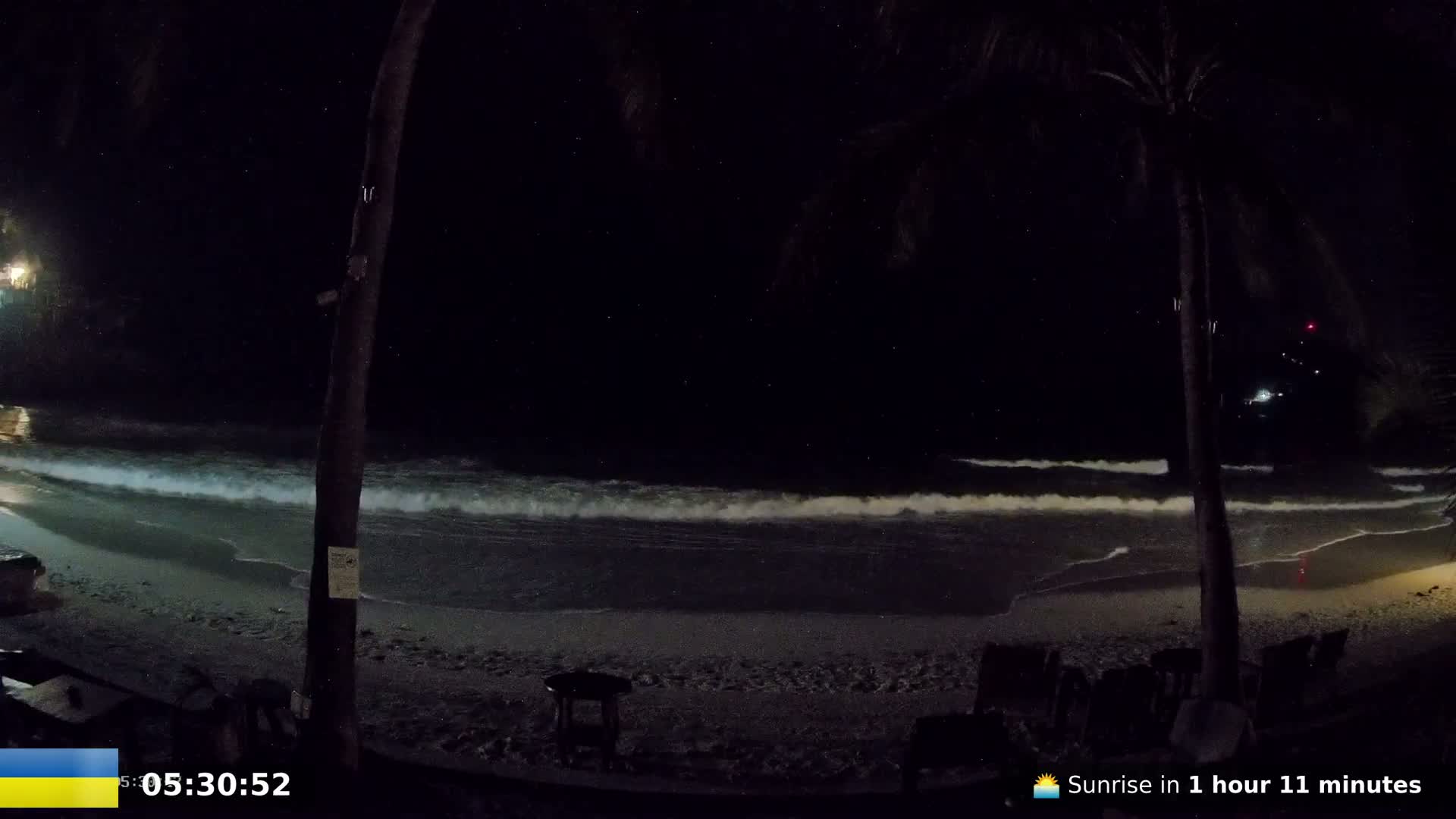 At night, gentle waves lap a sandy beach under a starry sky, partially obscured by palm trees.