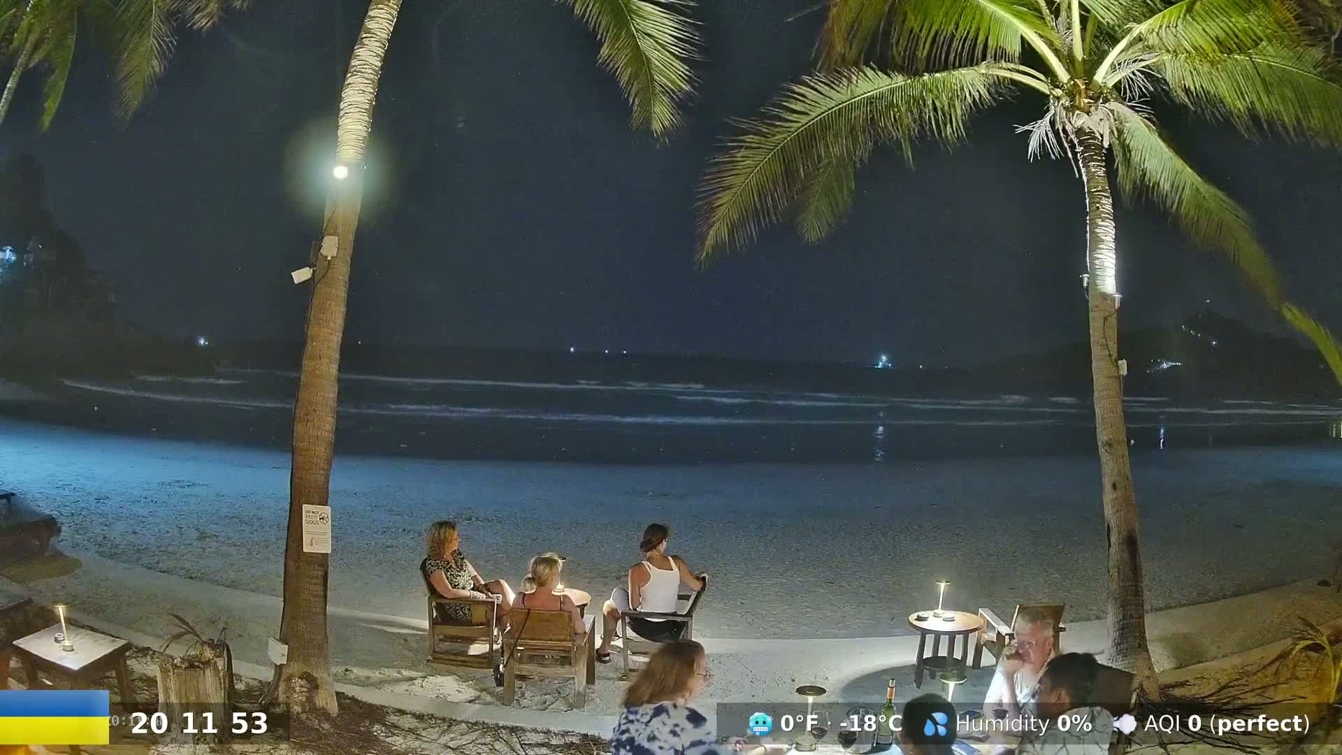 At night, on a sandy beach under a clear, dark sky, several people sit at small tables near palm trees overlooking a calm ocean.