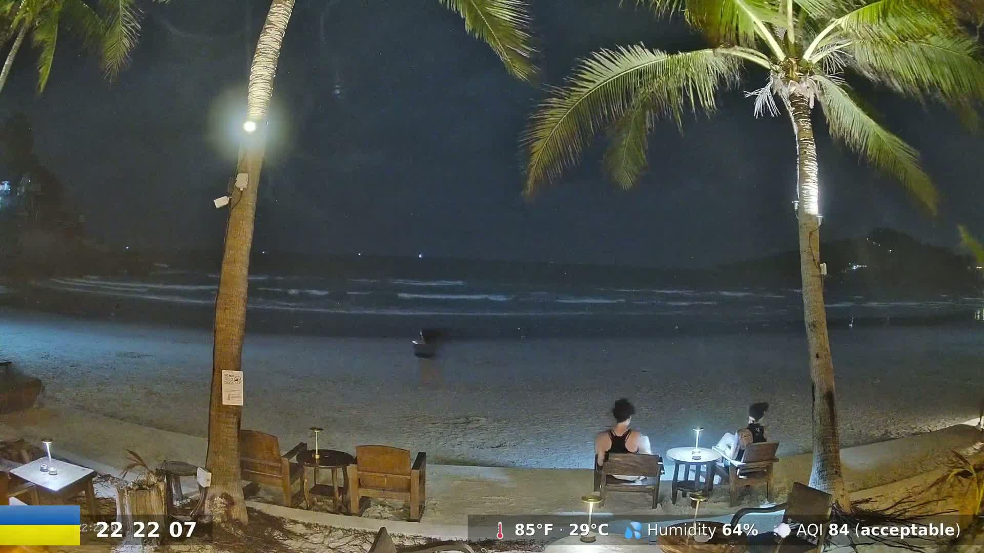 Under a night sky, two people sit at a table on a sandy beach near gently lapping waves and palm trees.
