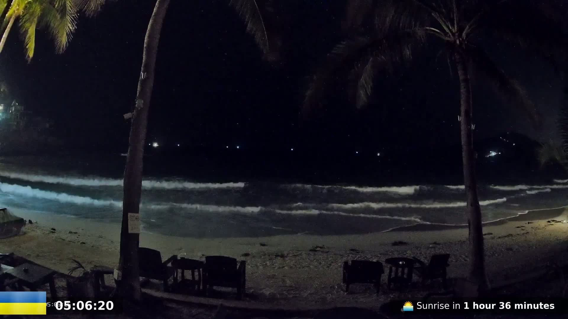 Waves roll onto a dark, sandy beach at night under a starry sky, palm trees silhouetted against the darkness.