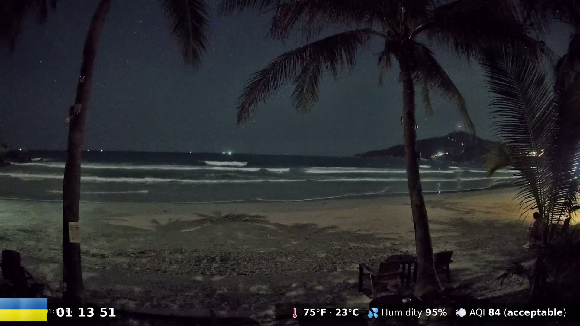 A nighttime beach scene shows gently rolling waves lapping a sandy shore under a clear, starry sky, partially obscured by palm trees.