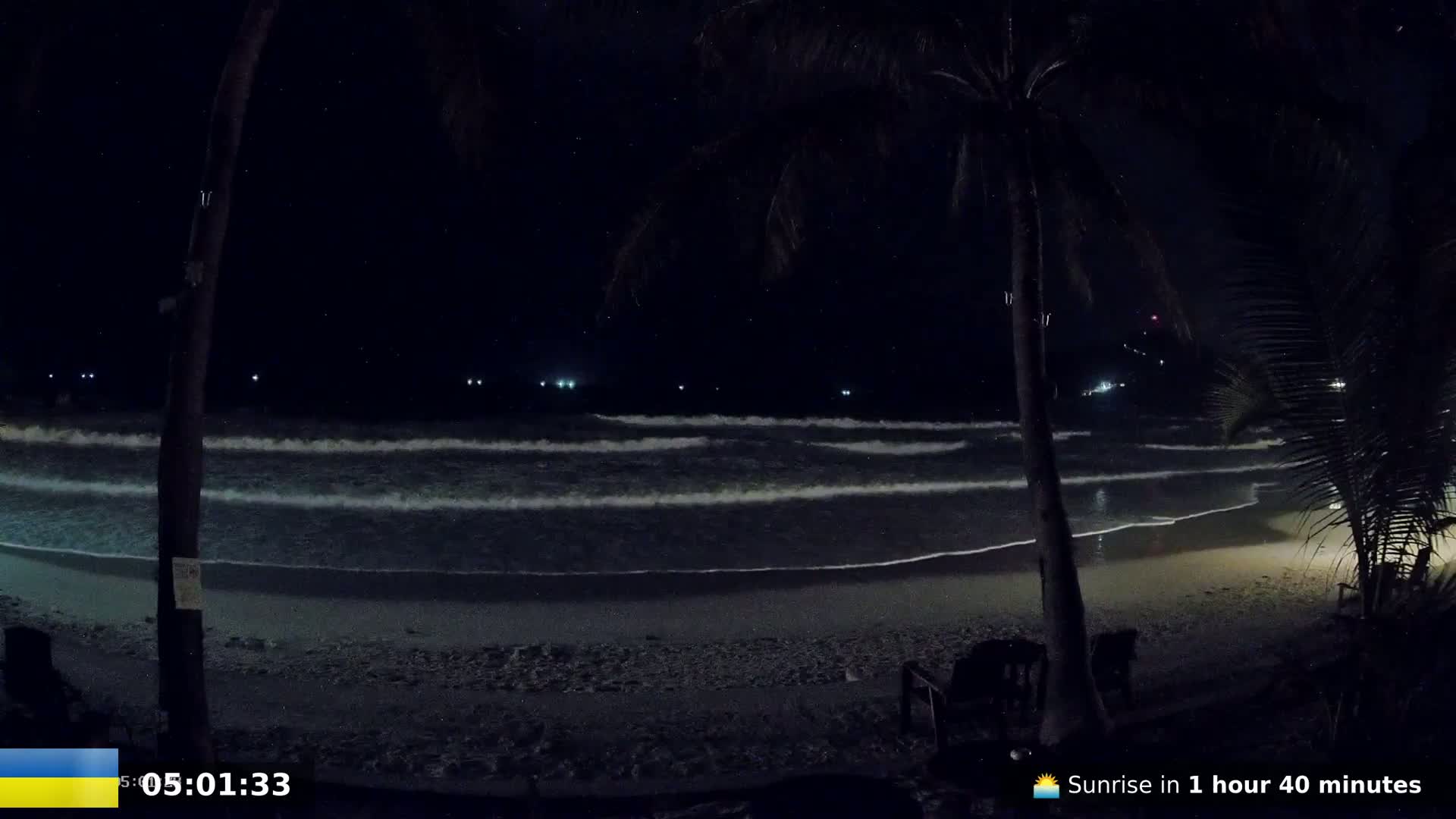 Gentle waves lap a dark, sandy beach at night under a starry sky, partially obscured by palm trees.